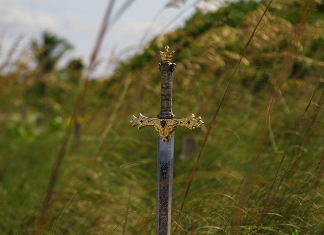 Иммунитет и железо: обоюдоострый меч